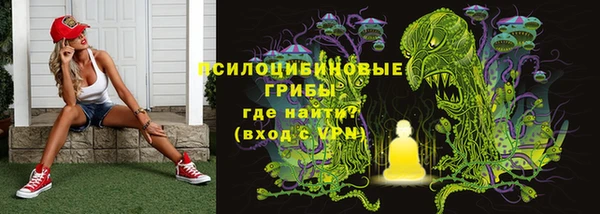первитин Богородицк