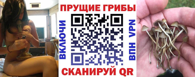 Галлюциногенные грибы Cubensis  где купить наркоту  KRAKEN сайт  Болохово 